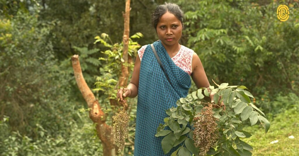 Sumac spice - usage in Northeast India 